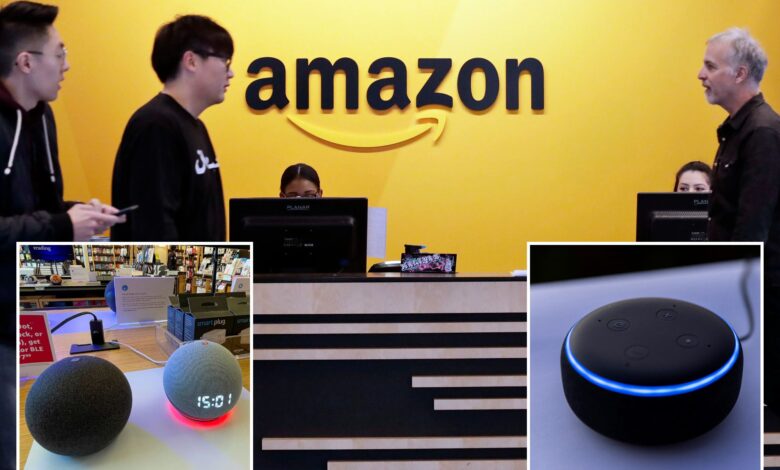 Amazon cuts 'several hundred' jobs in Alexa unit: report