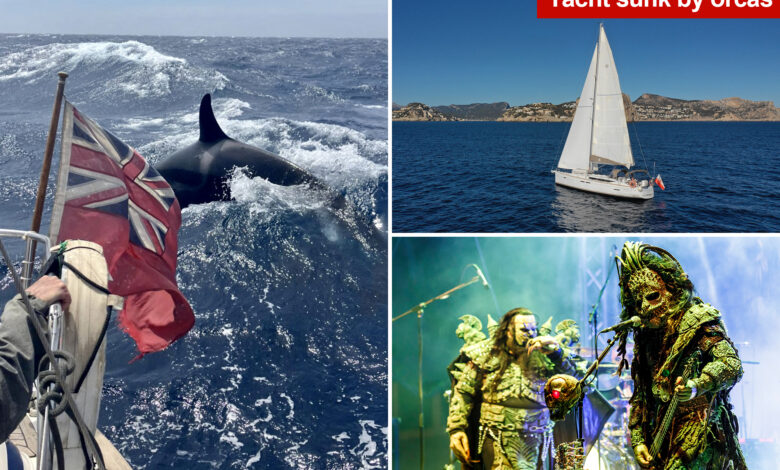 Death metal at full volume protects sailors from orca attacks