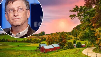 How Bill Gates Quietly Became the Largest Private Owner of US Farmland