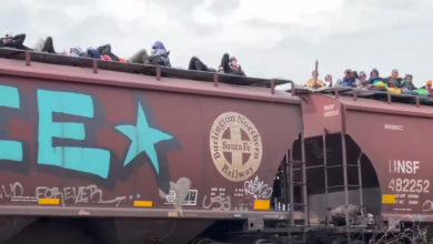 Hundreds of migrants travel on top of a train heading to the United States.
