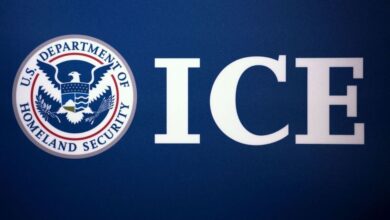 Illegal immigrant will be expelled from the US again, ICE says