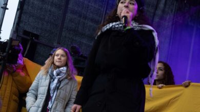 Greta Thunberg gave the floor to Palestinian activist Sara Rachdan at a climate change protest in Amsterdam on November 12, 2023.