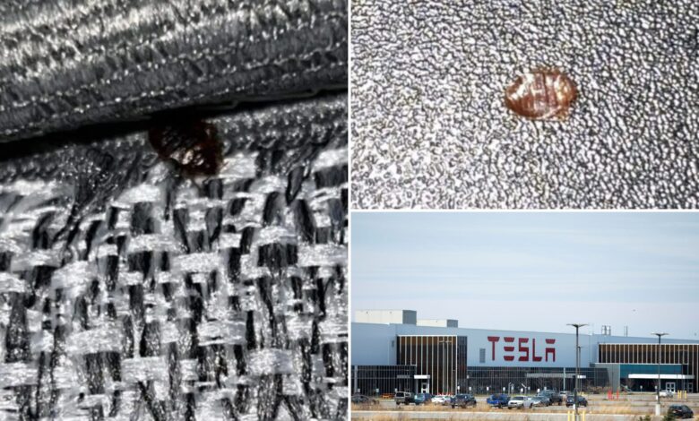 Tesla Gigafactory in New York infested with bed bugs