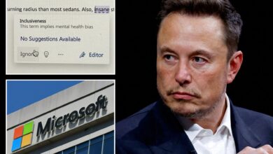 Elon Musk mocks Microsoft Word's woke 'inclusivity checker'