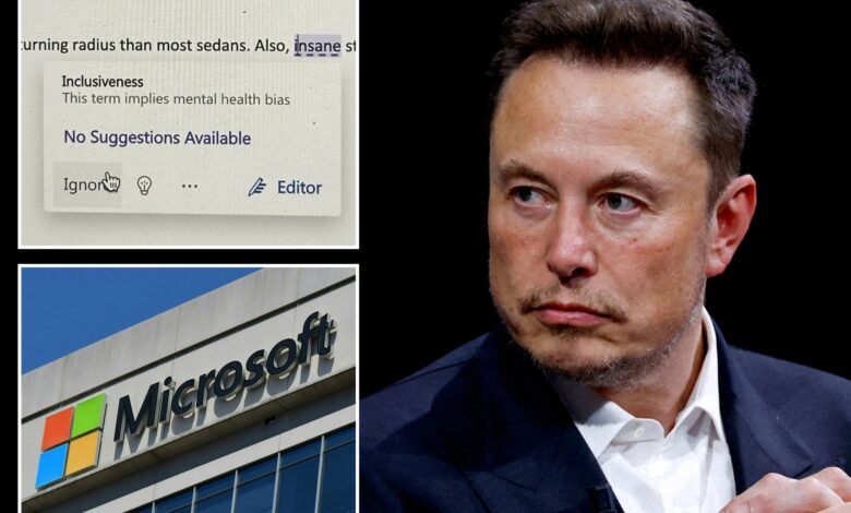 Elon Musk mocks Microsoft Word's woke 'inclusivity checker'