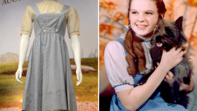 Judy Garland's 'Wizard of Oz' Dorothy dress can be auctioned