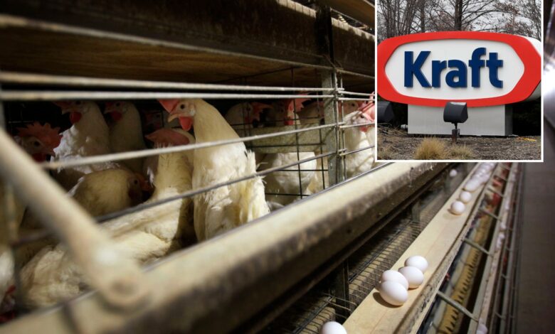 Jury orders egg suppliers to pay $17.7 million in damages for price gouging in 2000s