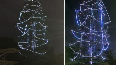 Locals are furious about the town hall's decorated Christmas tree.