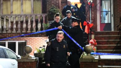 A man who believed his mother was poisoning him is suspected of fatally stabbing her inside their Bay Ridge home on Friday night.