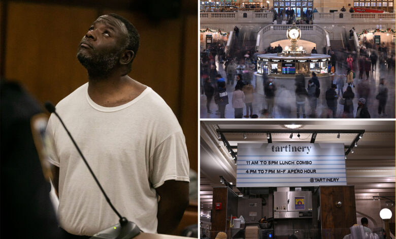 Police 'shouldn't have let' man free who stabbed teen girls at Grand Central Terminal