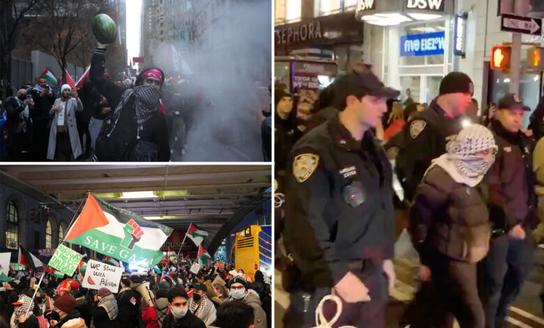 Pro-Palestinian protesters out to cancel Christmas as they storm NYC again