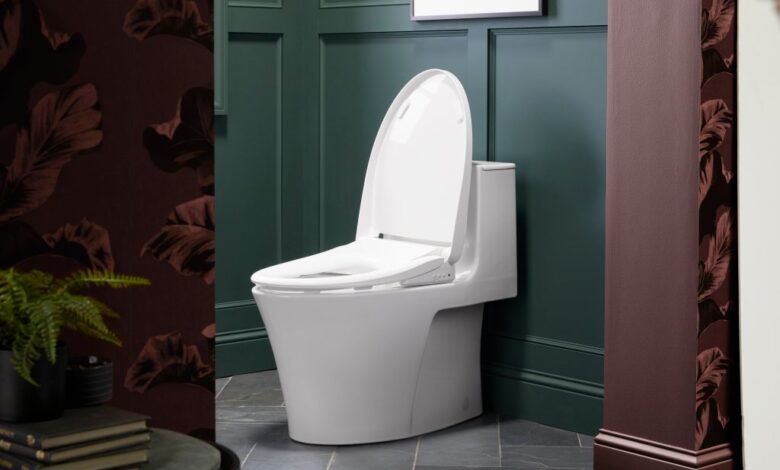 A new super bidet connects to Amazon Alexa and Google Home.