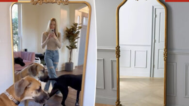 Costco selling 'dupe' of viral $1K mirror as shoppers sound off on social media