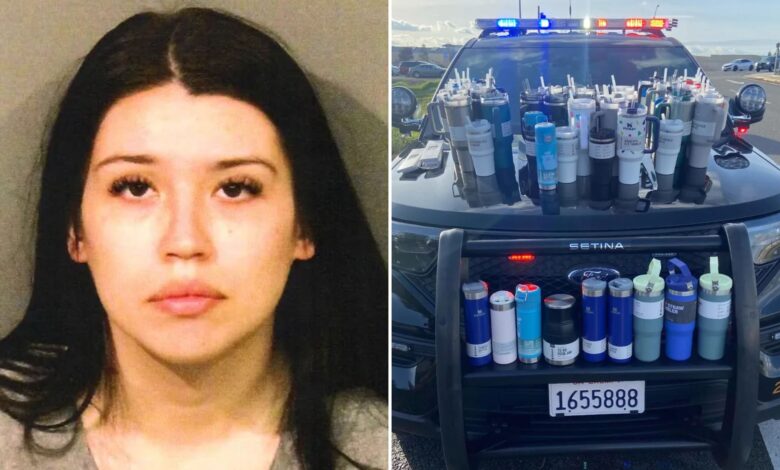 Driver busted for stealing 65 Stanley Cups identified Delany Garcia-Lopez