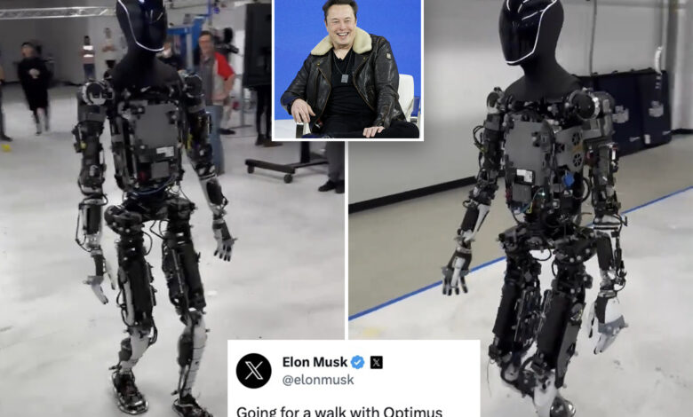 Elon Musk takes Tesla's life-size robot Optimus for a test walk: 'Kill it with fire'