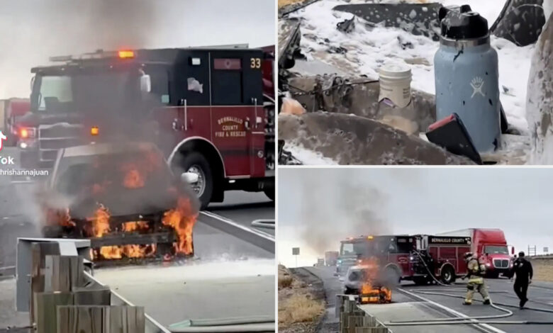 Hydro Flask water bottle emerges from car fire intact