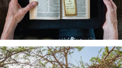 Top: Julie Hannah’s personal Bible. Bottom: Hannah’s church in Johannesburg.