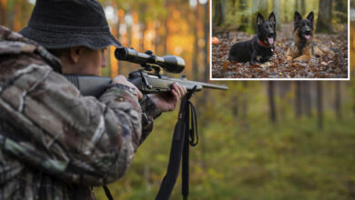 Long Island man shot his two dogs in the head with a rifle, horrific animal cruelty found on property