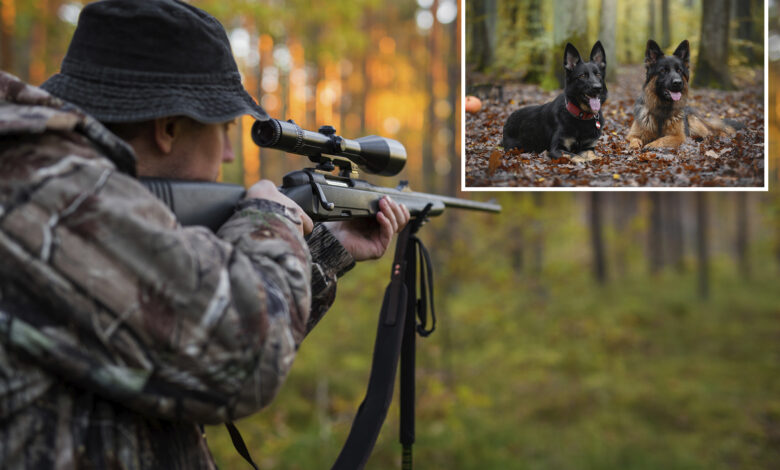 Long Island man shot his two dogs in the head with a rifle, horrific animal cruelty found on property