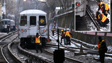 Middle-aged NYC subway surfer killed after 'going nuts,' hanging on side of rush-hour train: NYPD