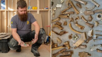 Plumber shocked to find 20 bones while digging under bathroom