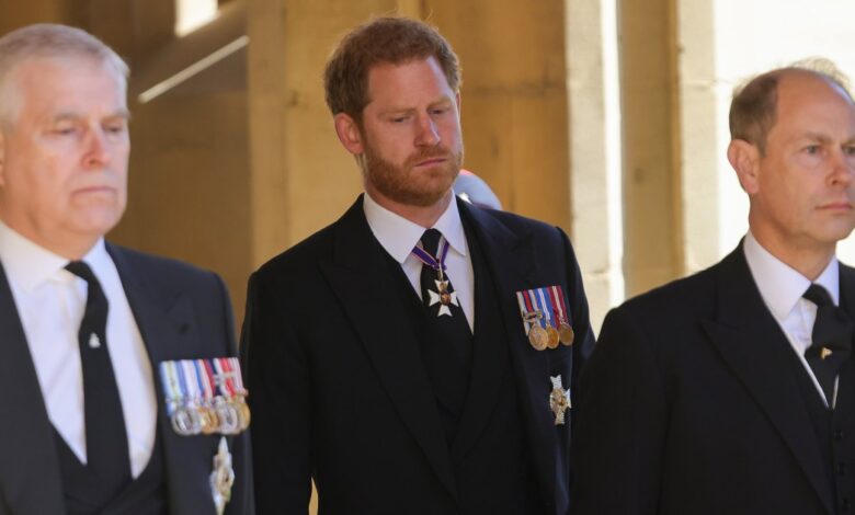 Prince Harry Finds Prince Andrew's Royal Welcome 'Irritating'