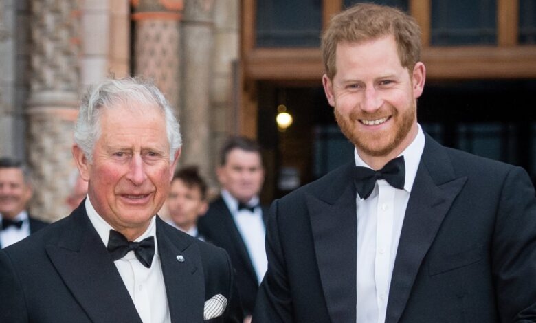 Prince Harry Makes Rare Joke Amid King Charles Estrangement