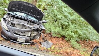 Images from the crash, which took place Thursday on California's Skyline Boulevard, showed a wrecked 2009 Toyota Corolla.