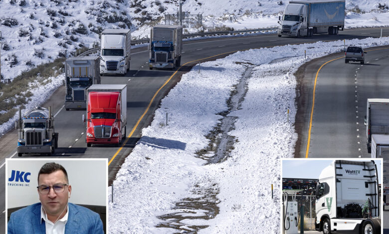 Trucker warns danger of electric vehicle push: 'Catastrophic' supply chain risk