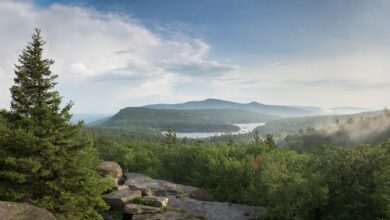 Rocks containing fossils dating back 385 million years were found in the scenic mountain region.