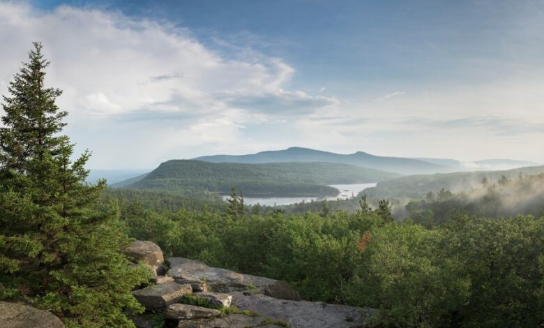 Rocks containing fossils dating back 385 million years were found in the scenic mountain region.