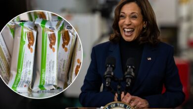 Bill Ackman accuses Kamala Harris of conflict of interest on Herbalife