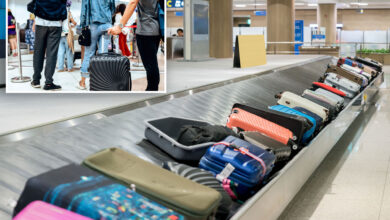 Here's how many billions the top 20 airlines made off your baggage fees last year