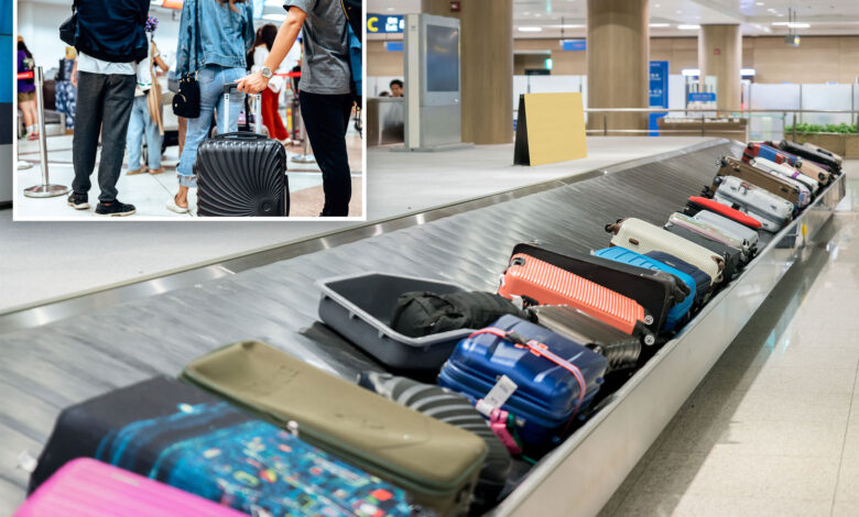 Here's how many billions the top 20 airlines made off your baggage fees last year