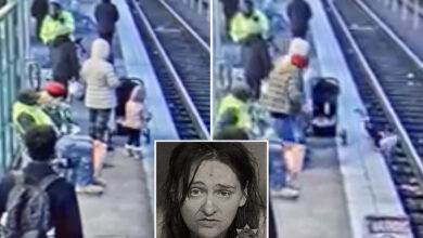 Homeless woman who shoved girl, 3, onto train tracks found guilty, insane