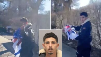 Jew-hating Palestinian migrant busted in NY for stealing pro-Israel flag: cops