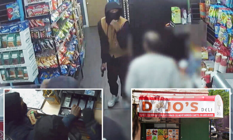 Masked robbers storm NYC deli, hold cashier at gunpoint: video