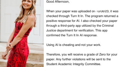 Student put on probation for using Grammarly: 'AI violation'