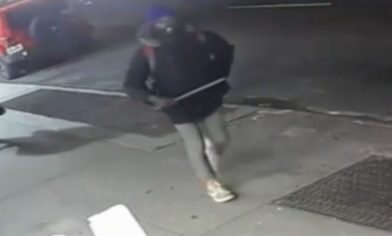 Thug reportedly hits 25-year-old woman over the head with baseball bat in random attack on NYC street