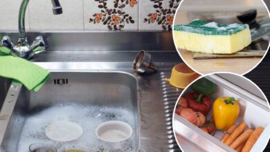 5 overlooked areas serving up the most germs in your kitchen