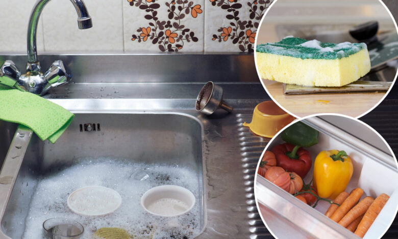 5 overlooked areas serving up the most germs in your kitchen