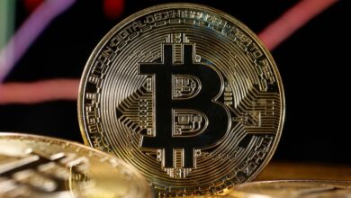 Bitcoin continued its hot streak on Tuesday, breaking yet another record as it crossed the $69,000 mark.