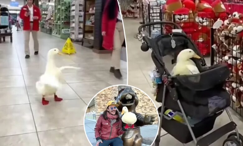 Buc-ee's bans man for bringing his service duck inside store