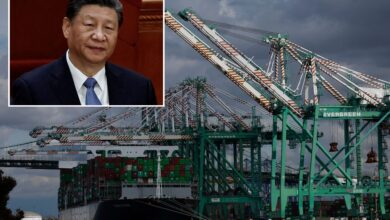 Congress probe finds suspicious tech in Chinese-made cargo cranes