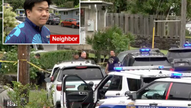 Dad fatally stabs wife, three kids and then himself in Hawaii’s second-deadliest mass killing