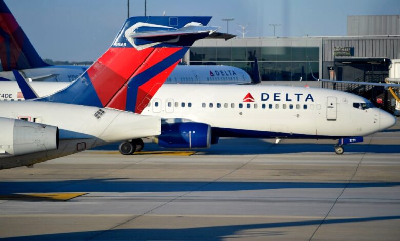 Delat plane