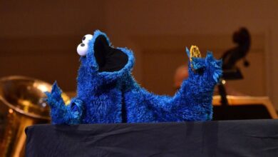 Democrats respond to Cookie Monster post on shrinkflation