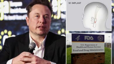 Elon Musk's Neuralink plagued with animal lab violations before getting approval for human testing