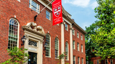 Harvard's application crash should scare other elite schools on antisemitism