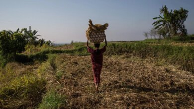 How One Indonesian Church Is Fighting Food Insecu...